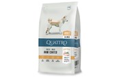Hundar - Quattro All Breed with Poultry Adult 12kg - 13053