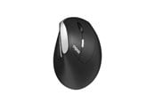 Mus - RAPOO EV250 - Ergonomisk mus - Optisk / gyroskopiska - 6 knappar - Svart - 13531