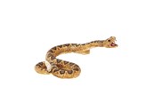 Leksaker - Mojo Wildlife Rattlesnake - 387268