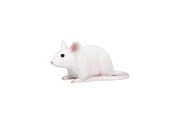 Leksaker - Mojo Farmland Mouse - 387235 - 387235