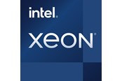 CPU - Intel Xeon E-2468 / 2.6 GHz processor - OEM CPU - 8 kärnor - 2.6 GHz - Intel LGA1700 - Bulk (utan kylare) - CM8071505024706