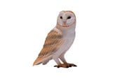 Leksaker - Mojo Wildlife Barn Owl - 381054