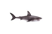 Leksaker - Mojo Sealife Great White Shark - 381012