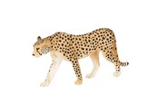 Leksaker - Mojo Wildlife Cheetah Male - 387197 - 387197