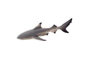 Leksaker - Mojo Sealife Blacktip Reef Shark - 387357