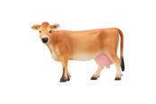 Schleich - Schleich jerseyko - 13967