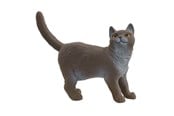 Schleich - Schleich brittisk korthårskatt - 13973