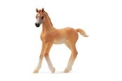 Schleich - Schleich arabiskt fullblod, föl - 13984