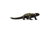 Schleich - Schleich eldsalamander - 14870