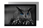 Skärm - Natec OWL display privacy filter - 27" - NFP-2118