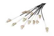 Nätverkskabel - DIGITUS breakout cable - 30 m - black - Svart - 30m - DK-2433CU050BK-BBB