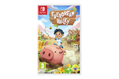 Spel - Everdream Valley - Nintendo Switch - Äventyr - 5056635607539