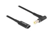 Övriga kablar - DeLOCK - power connector adaptor - USB-C (power only) to DC jack 5.5 x 1.7 mm - 15 m - 60038