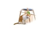 Katter - AFP All For Paws - Groomer 2 In 1 20.3X11X2.2Cm - (781.1025) - 781.1025