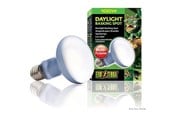 Uppvärmning/Ljus - EXO TERRA - Daylight Basking Spot 100W R25 E27 Green - (220.2730) - 220.2730