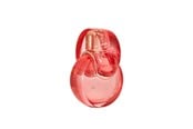 Parfym och dofter - Bvlgari Omnia Coral Edt Spray - 783320420672