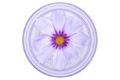 Andra mobiltillbehör - PopSockets PopGrip Plant Purple Cosmo - 806846