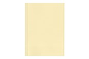 Arkivering & Förvaring - Esselte - file folder - for A4 - yellow (pack of 100) - 44102