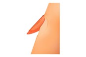 Arkivering & Förvaring - Leitz Mapp ColorClip Rainbow Orange - 41760045