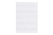 Block och Anteckningsböcker - Esselte - protocol book - 96 sheets - A4 - 41902