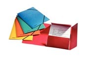 Arkivering & Förvaring - Esselte Rainbow - 3-flap folder - for A4 - capacity: 350 sheets - assorted colours (pack of 5) - 15523