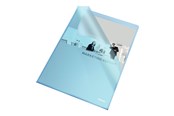 Arkivering & Förvaring - Esselte Mapp Standard Blå - 54825