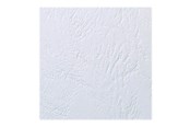 Skrivartillbehör-bläck-toner - ACCO Brands Inbindningsomslag  präglat läder A4 Svart 250 g/m2 Vit - CE040070