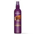 Hårvård - Goldwell - SprayGold Classic Strong Hold Hair Spray - 4021609075455