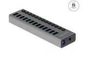 USB Hub - DeLOCK - hub - 13 ports USB Hub - USB 3.0 - 13 porte - Grey - 63738
