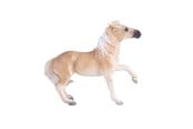 Figure - Mojo Horse World Brumby Mare - 381059