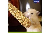 Gnagare - Vitakraft Kräcker® honung och spelt för hamster - 25152