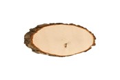 Kreativa spel - Playwood Make your own Nameplate Tree Bark 28 cm - SL30-33