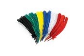 Konst- och hantverksmaterial - Colorations - Feathers 30cm Set of 24 - CHLGQUIL