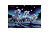 Pusselspel - Educa 1000 Stjärnfall, Anne Stokes - 80-19919