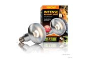 Uppvärmning/Ljus - EXO TERRA Intense Basking Spot 150W - HPT2140
