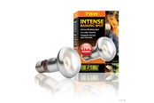 Uppvärmning/Ljus - EXO TERRA Intense Basking Spot 75W - HPT2136