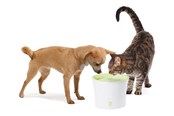Katter - Catit Design White/Lime Drinking fountain 3L - H55600