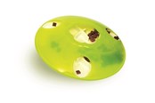 Katter - Catit Play Treat "SPINNER" - H43750