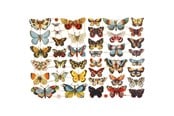Kreativa spel - Creativ Company Vintage Pictures Butterflies 2 Sheets - 19352