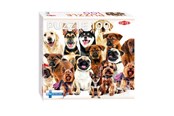 Pusselspel - Tactic Group of Cute Dogs 1 pcs puzzle Golv - 59233