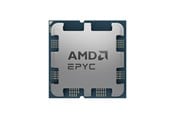 CPU - AMD EPYC 4244P - Tray CPU - 6 kärnor - 3.8 GHz - AMD AM5 - Bulk (utan kylare) - 100-000001480