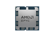 CPU - AMD EPYC 4124P - Tray CPU - 4 kärnor - 3.8 GHz - AMD AM5 - Bulk (utan kylare) - 100-000001570