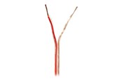 Ljudkabel - Nedis bulk speaker cable - 100 m - CABR1500TR1000