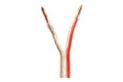 Ljudkabel - Nedis bulk speaker cable - 15 m - CAGW4000TR150