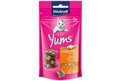 Katter - Vitakraft Cat Yums + Chicken and Cat Grass 40g - 31531