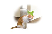 Katter - AFP All For Paws - Groomer Corner 14*12*9Cm - (781.1020) - 781.1020
