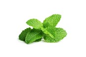 Smarta Hem - Click & Grow Click and Grow - Smart Garden Refill 3-pack - Peppermint (SGR22X3) - SGR22X3