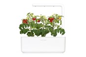 Decoration - Click & Grow - Smart Garden 3 Start kit (Color: White) (SGS1UNI) - SGS1UNI