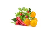Smarta Hem - Click & Grow Click and Grow - Smart Garden Refill 9-pack Fruit and Veggie Mix - PPMFVX9