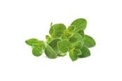 Smarta Hem - Click & Grow Click and Grow - Smart Garden Refill 3-pack Oregano - SGR31X3